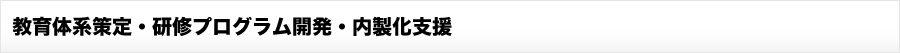 教育体系策定および各種人材育成プログラムの開発
