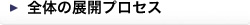 全体の展開プロセス